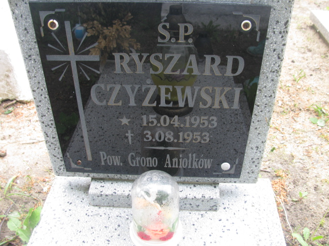 Ryszard Czyżewski 1953 Rzepin - Grobonet - Wyszukiwarka osób pochowanych