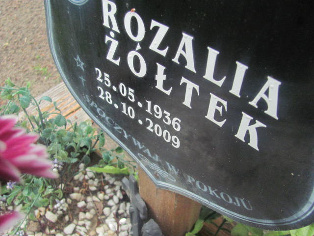 Rozalia Żółtek 1936 Rzepin - Grobonet - Wyszukiwarka osób pochowanych