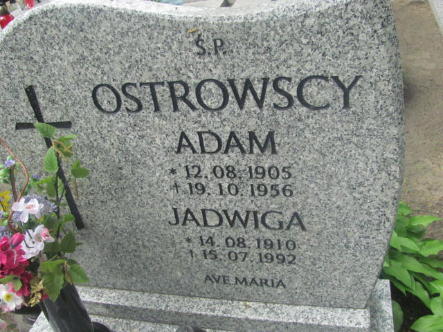 Danuta Langowska-Nadolska 1948 Rzepin - Grobonet - Wyszukiwarka osób pochowanych