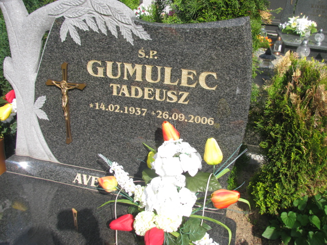 Tadeusz Gumulec 1937 Rzepin - Grobonet - Wyszukiwarka osób pochowanych